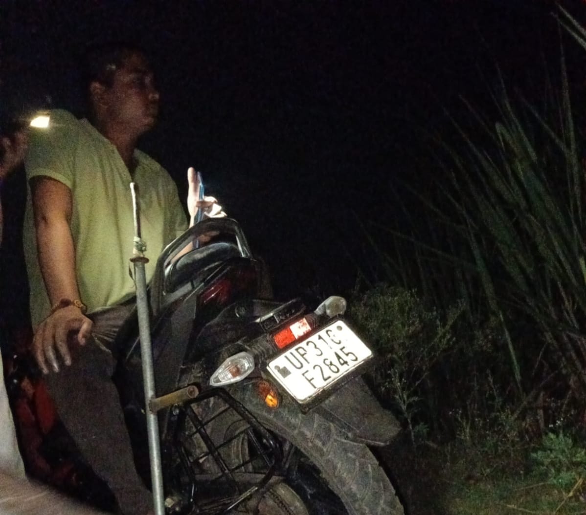 Wild boars destroyed sugarcane crops