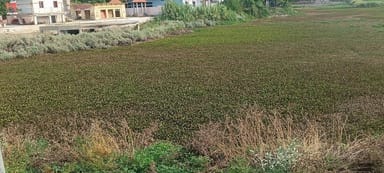 Drain water is flowing into the ancient Sitakund pond.