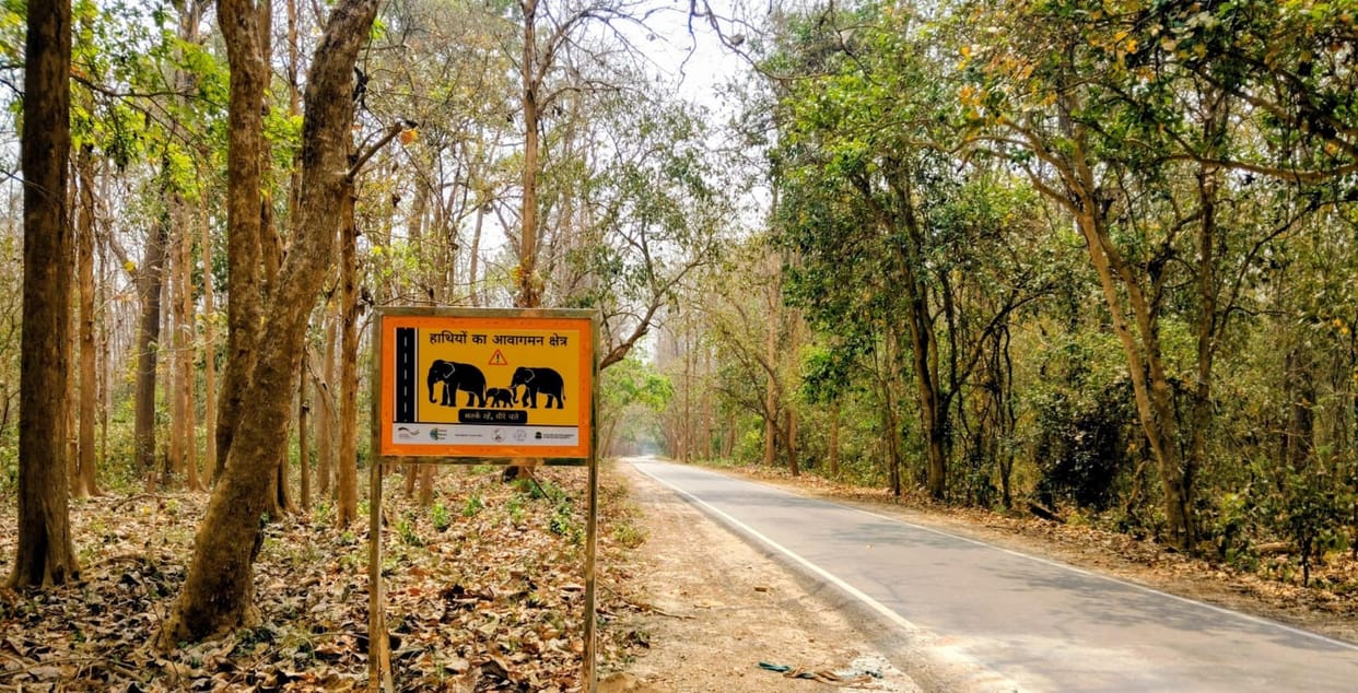Tourism in Katarniaghat will remain closed for four months starting July 1.