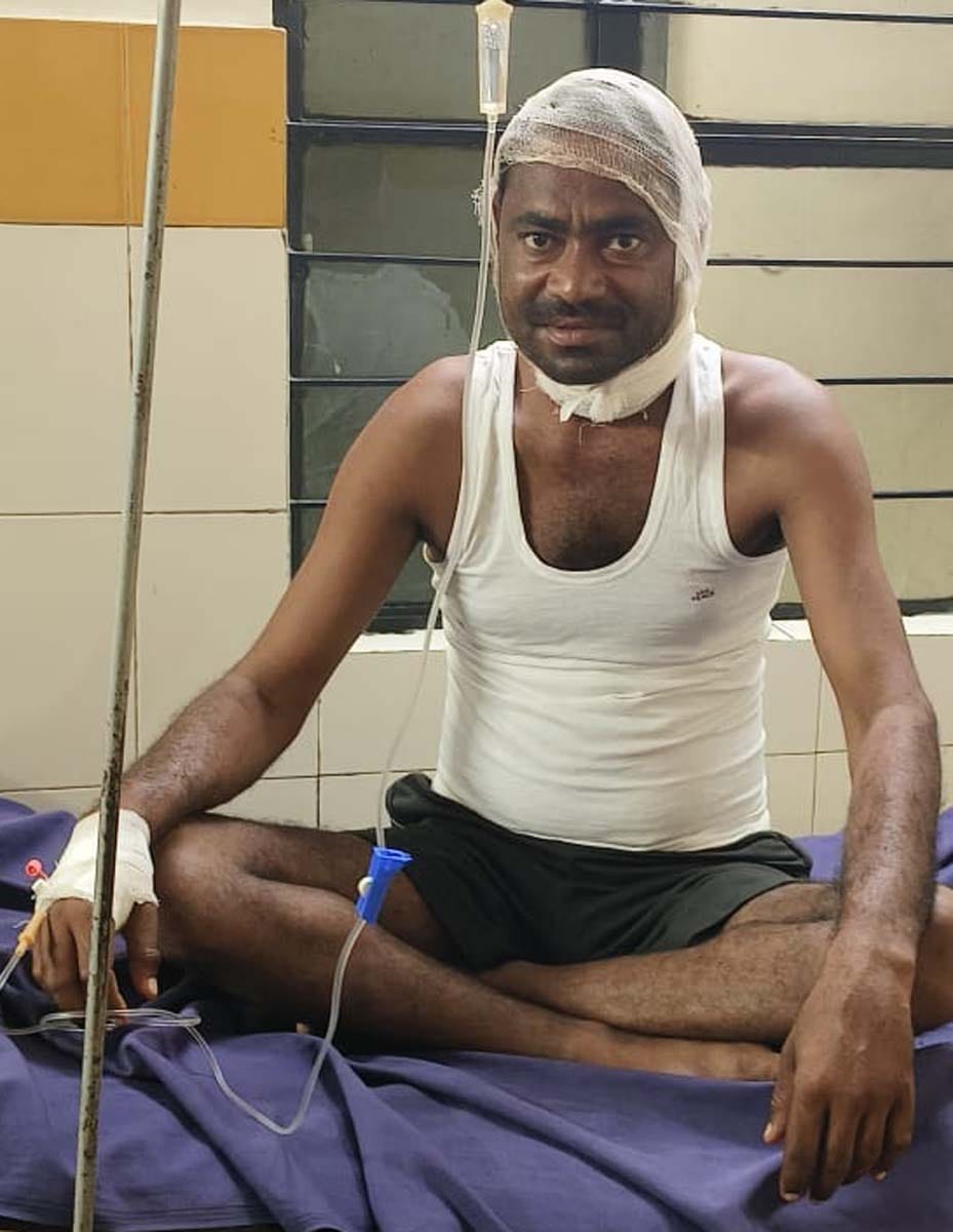 Two people injured in langur attack; panic among villagers.