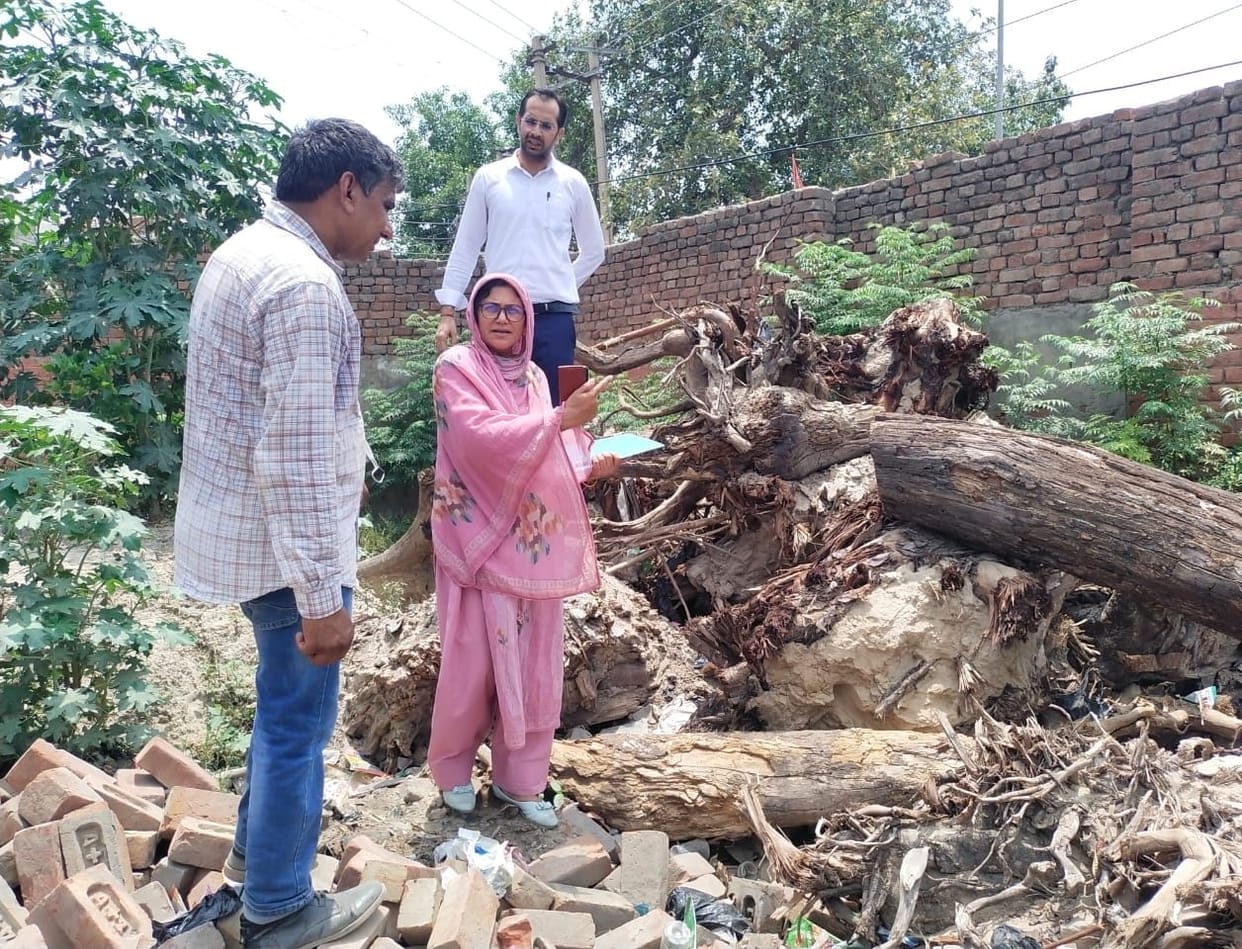 86 trees cut down at the Roadways workshop complex; CM's Flying Squad arrives for investigation.