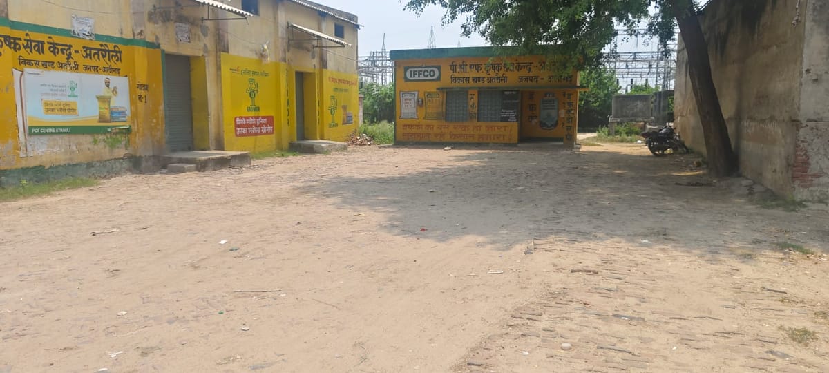 Aligarh News: न खाद मिली, न मक्का बिकी, दोहरी मार झेल रहे किसान