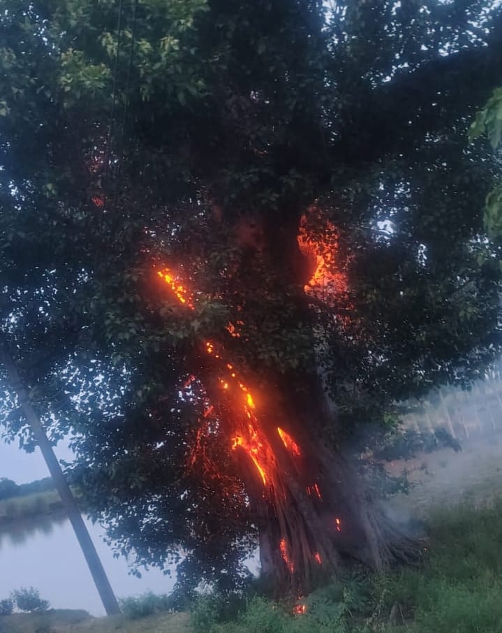 Lightning strikes during rain; grandmother and grandson injured.