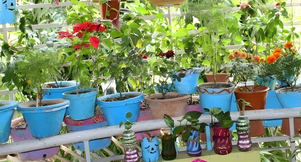 Colorful flowers are in bloom in the courtyard; the prayer garden is delighting everyone.