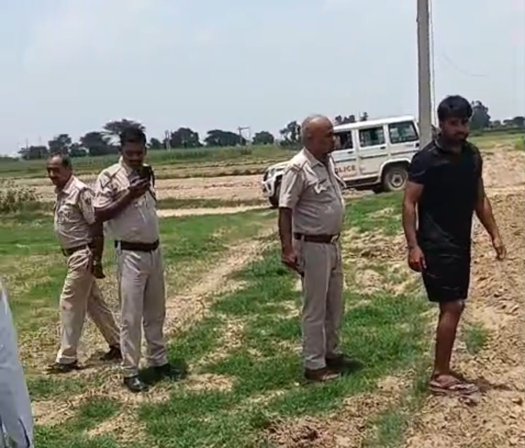 Allegations of destroying crops by ploughing them over, attacking with sticks and clubs, and opening fire.