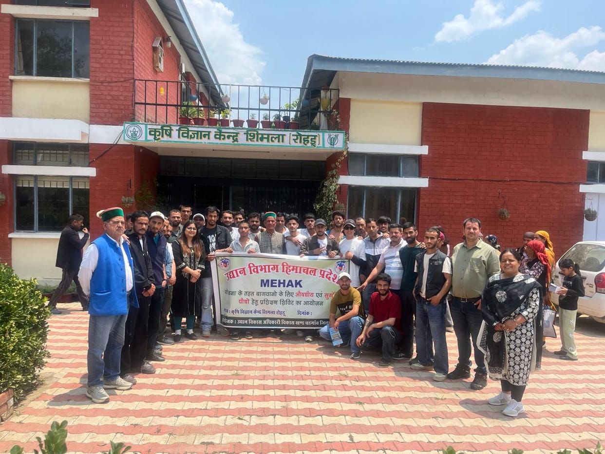 Gardeners provided with information on medicinal and aromatic plants