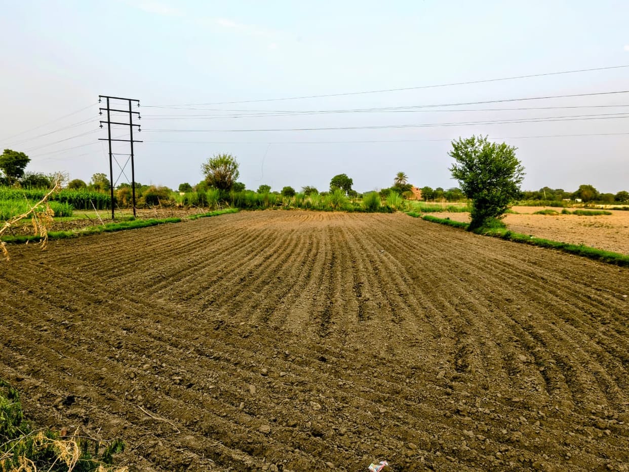 Kharif sowing completed in 60% area