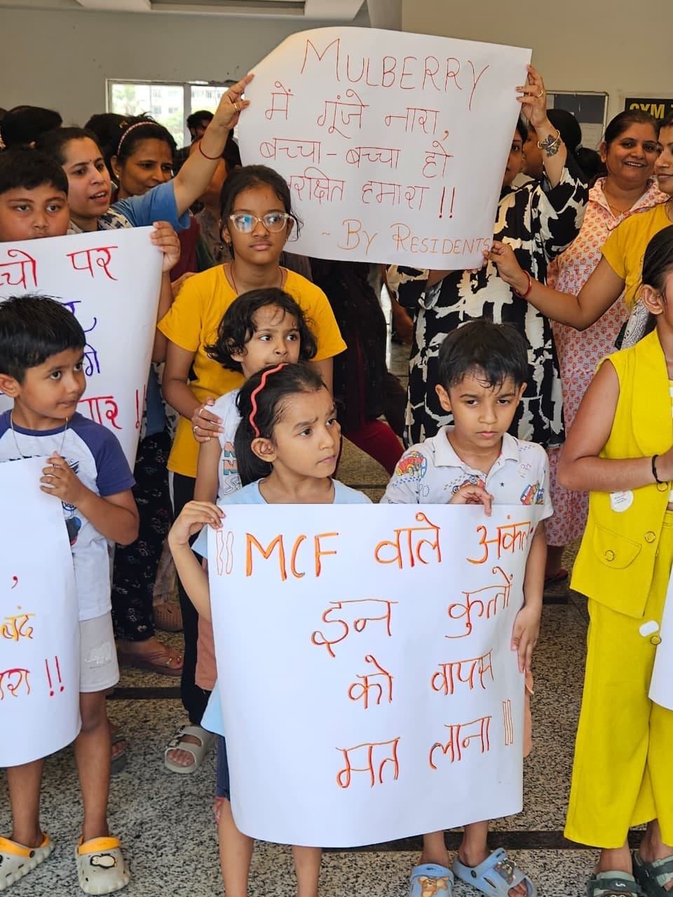 Children staged a protest against stray dogs in Mulberry County.