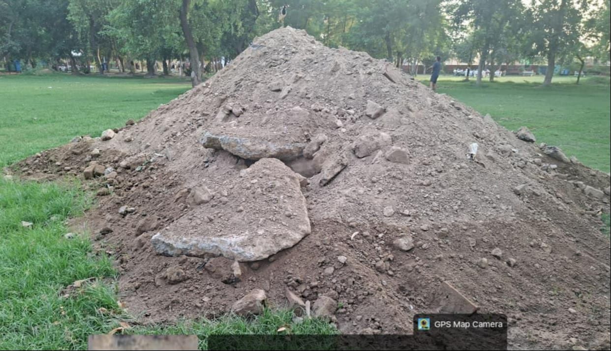rubbish dropped in parks