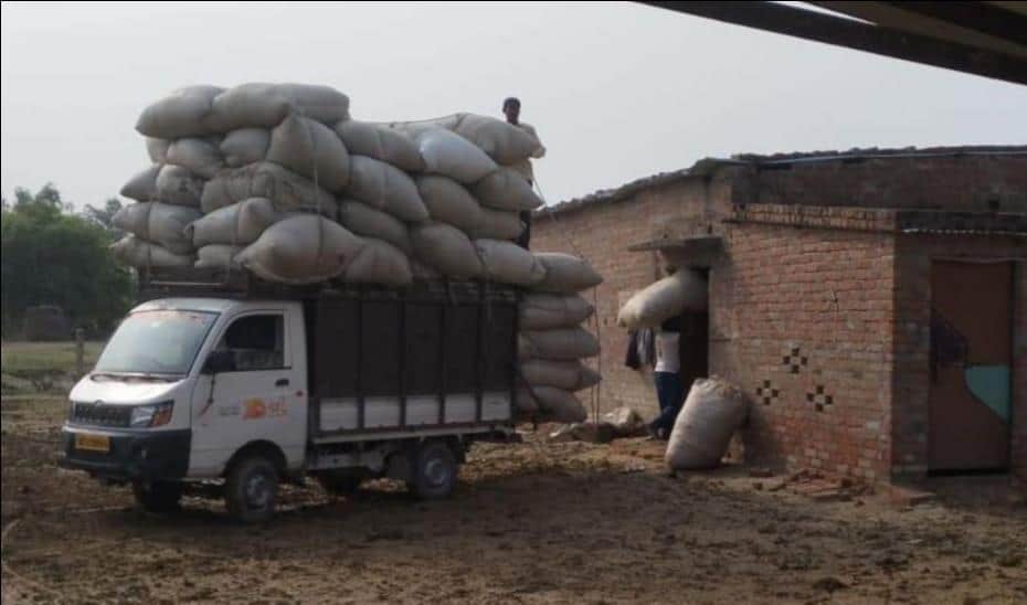 Demand for green fodder met with straw