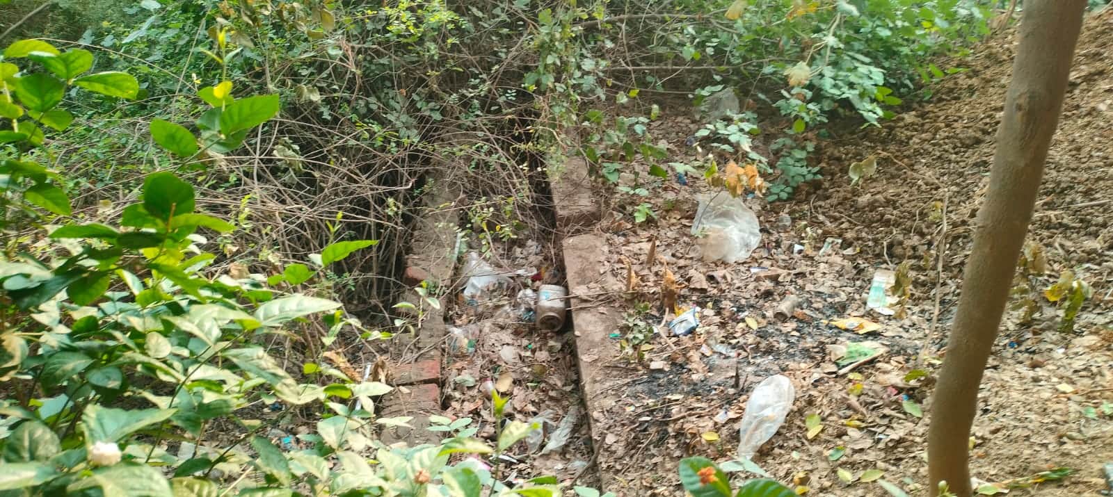 जैथरा में मिट्टी से अटा पड़ा नाला। संवाद