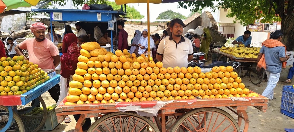 Mangoes start rotting quickly due to heat; traders worried about losses.