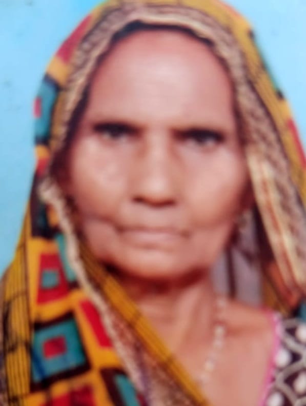Elderly woman decapitated after being hit by a crane; dies