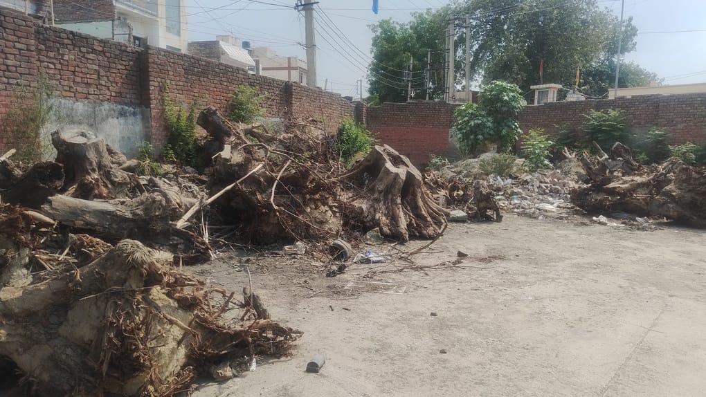Trees felled at the roadways depot; old wounds reopened.