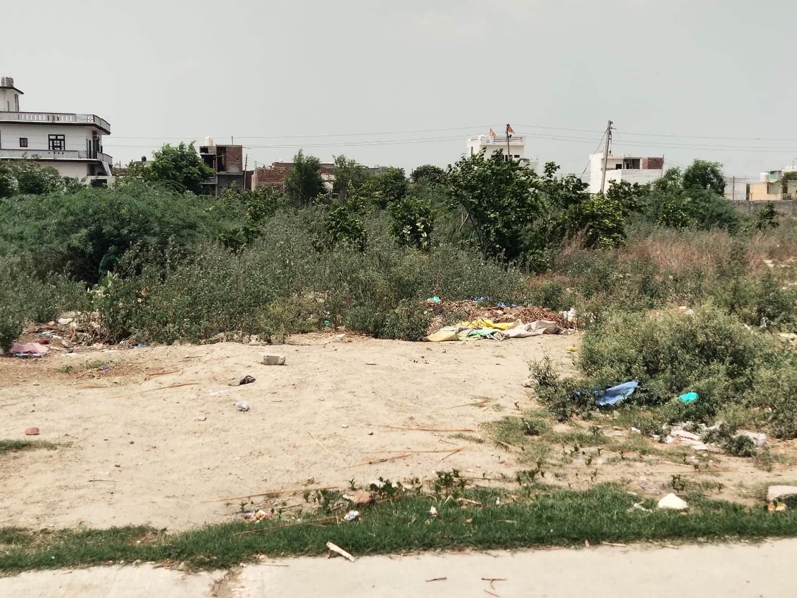 सब्जी मंडी बनाने की निर्धारित की जगह पर खड़ी घास फूस। संवाद