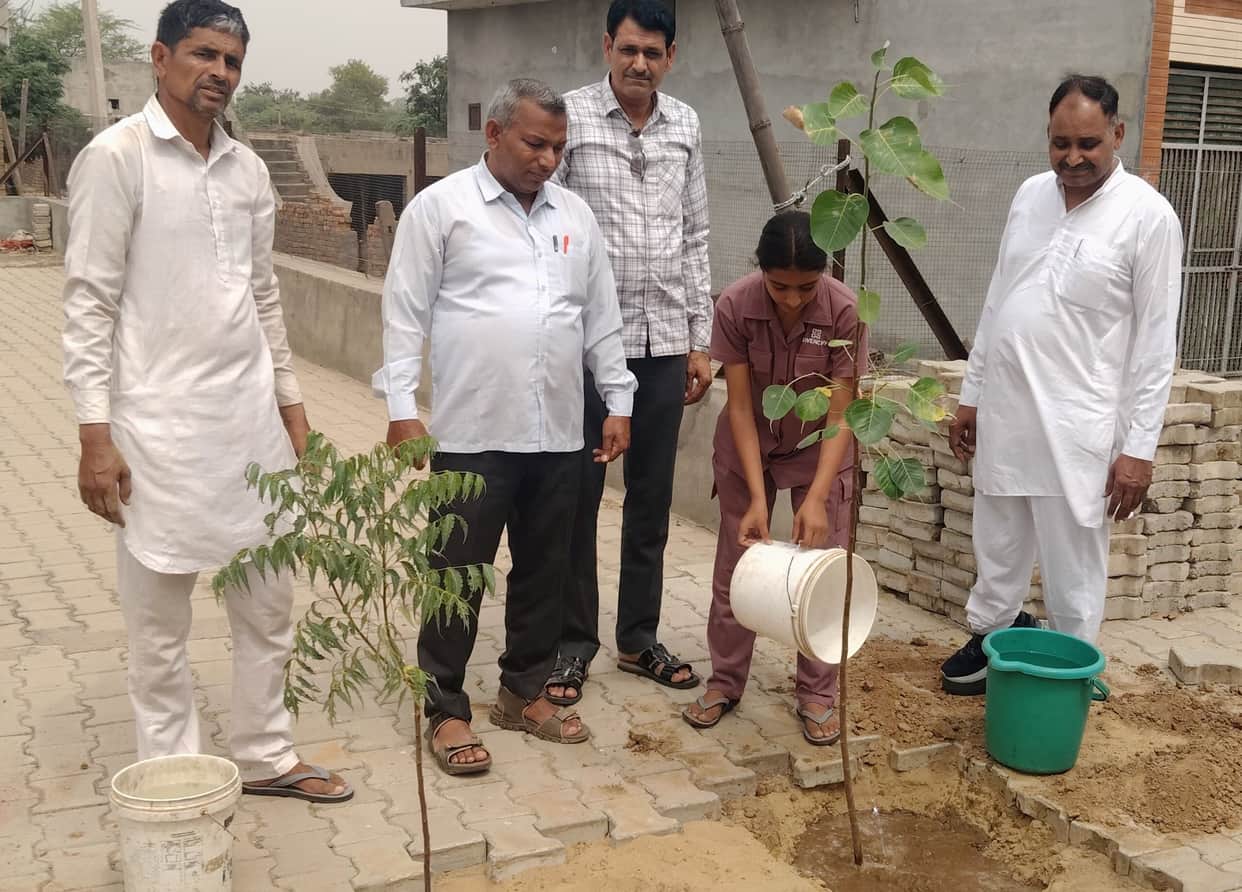 Spread the message of greenery by planting trees