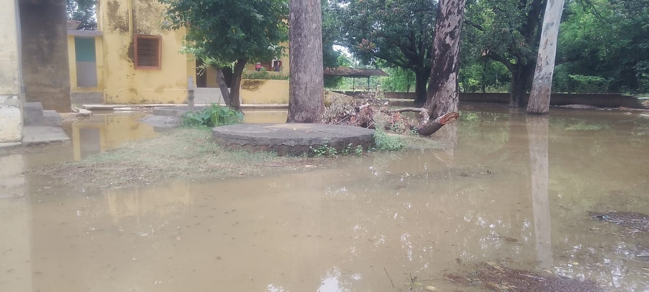 बारिश से राजकीय पशु चिकित्सालय गिलौला में भरा पानी।