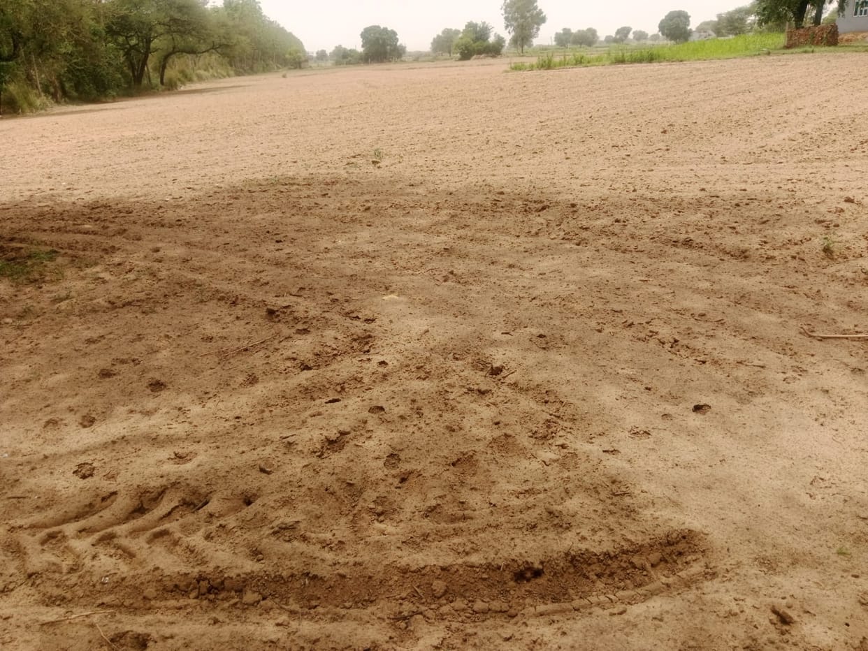 Waiting for rain to sow pearl millet, moong, and cluster bean.