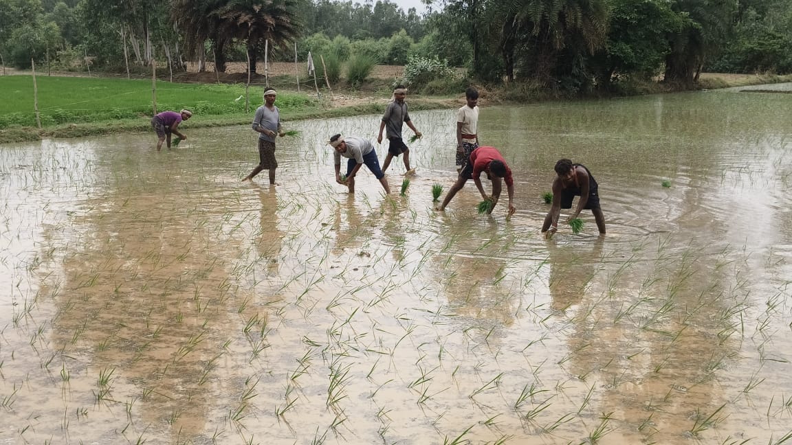 The 38 lakh spent on drain cleaning went down the drain amidst the waterlogging