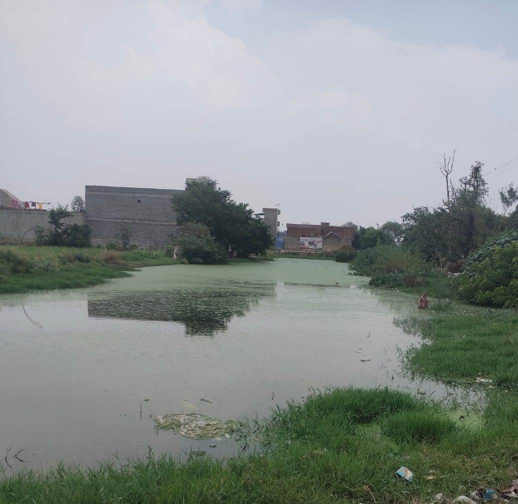 Wastewater has been stagnating in the fields for six years; 10 acres of land have turned into a pond.