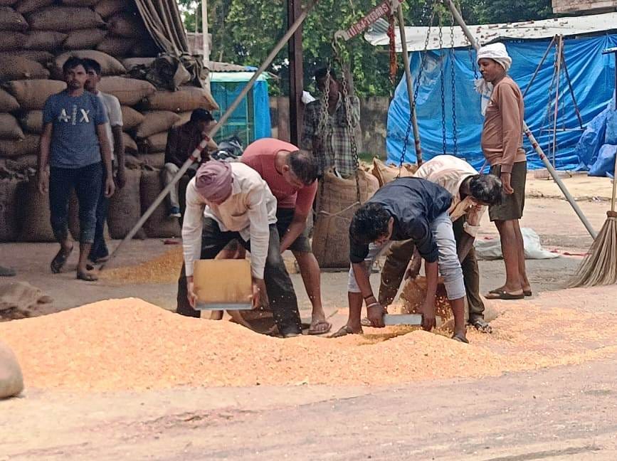 Maize not purchased at government procurement center