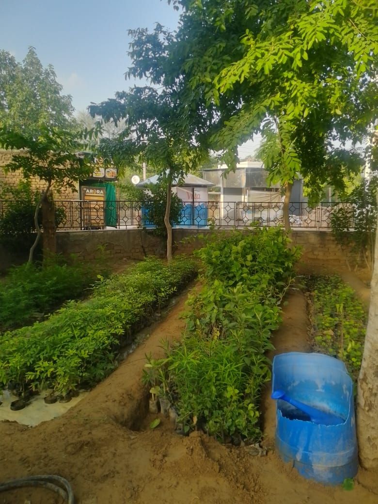 Hisar News: इस बारिश में सड़क और नहर किनारे अधिकतम पौधे लगाने की तैयारी