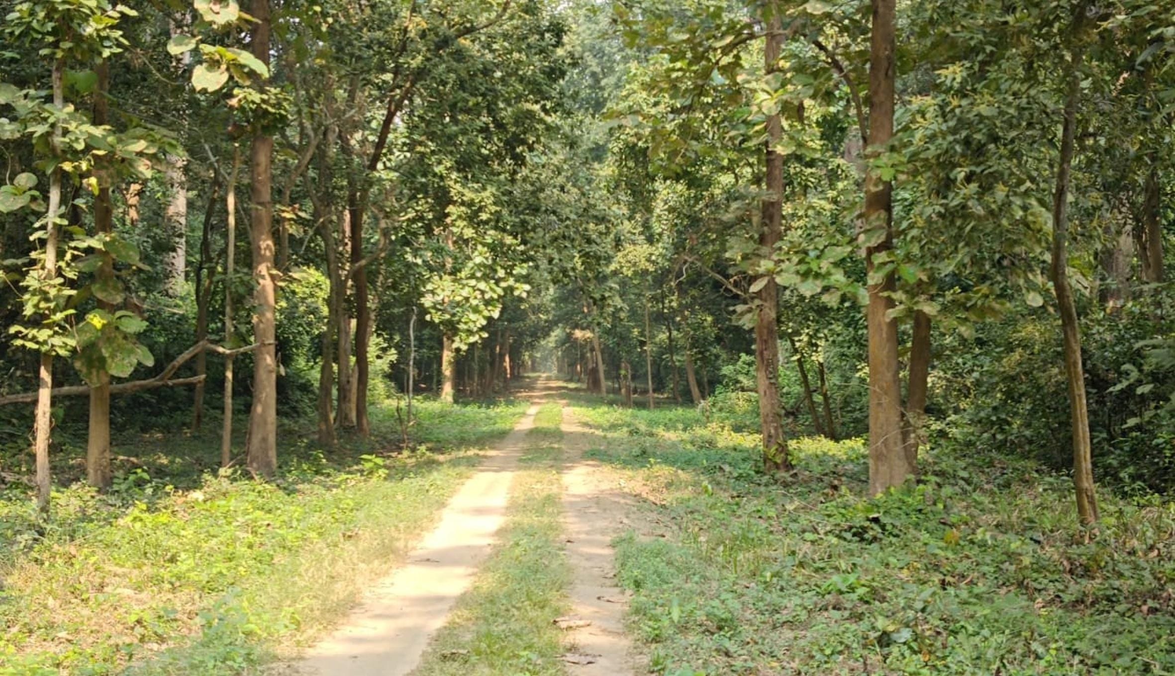 कर्नियाघाट संरक्षित वन क्षेत्र । 