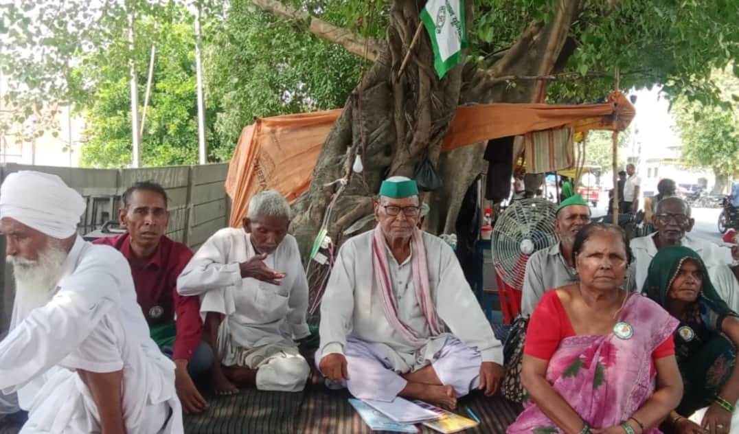 Monkey cuts off power; people left in distress amidst scorching heat.