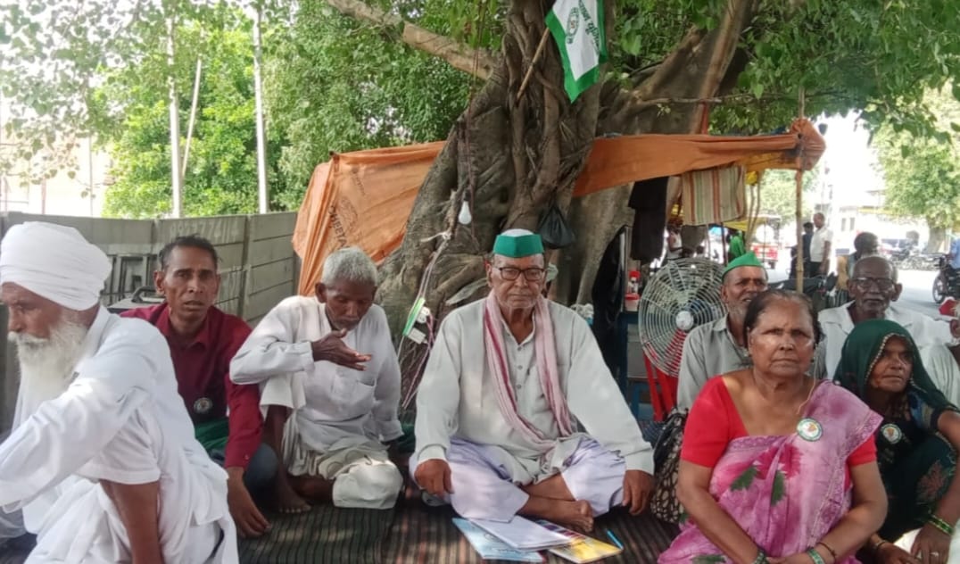 Monkey cuts off power; people left in distress amidst scorching heat.