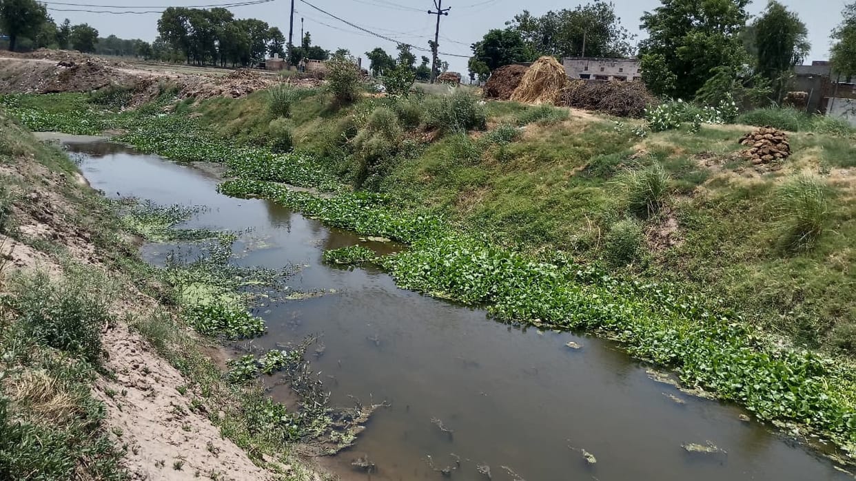Drain cleaning incomplete; concerns run deep
