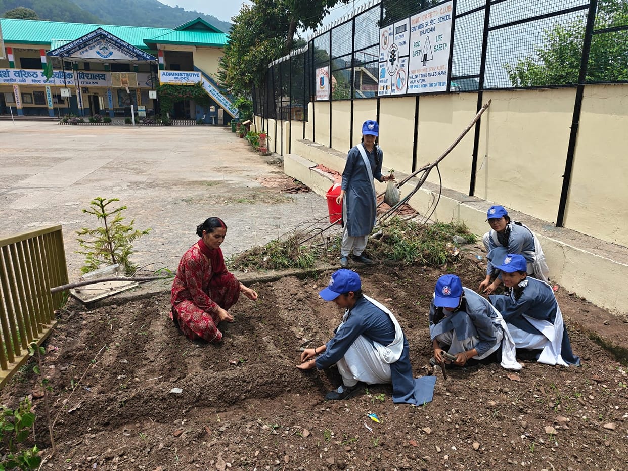 Sent a message of environmental conservation by planting green chillies.