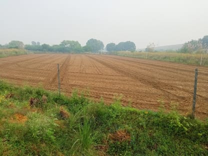 Rain adds to farmers' worries; Kharif crops had to be re-sown