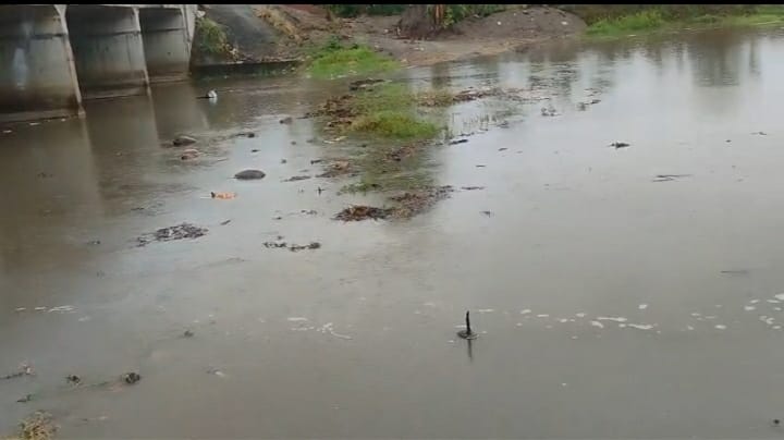 After the rain, the Gomti began to flow ceaselessly at Triveni Ghat.
