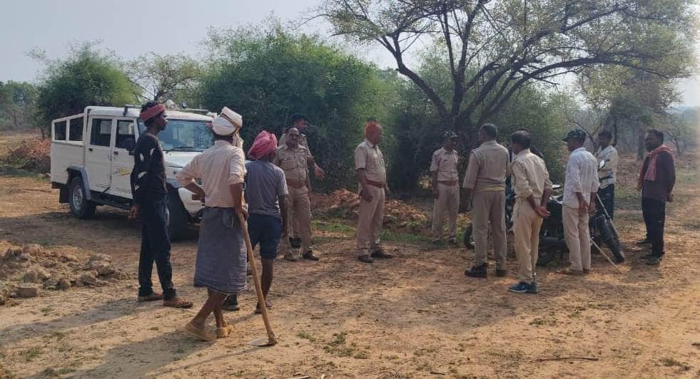 A female leopard brought from Dudhwa has been released into the Chandraprabha Sanctuary.