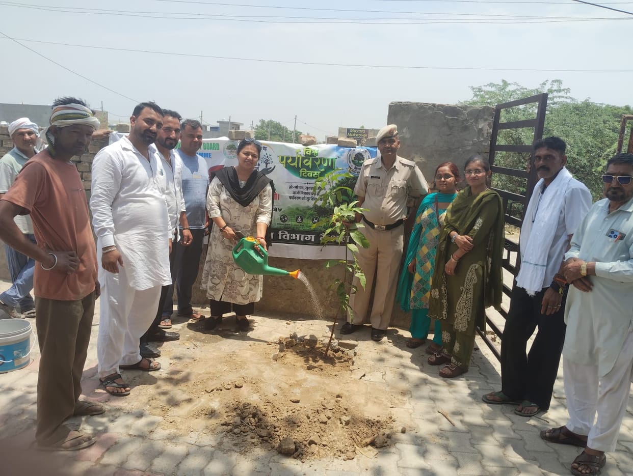 Two lakh saplings to be planted across the district in July; Forest Department launches campaign to boost greenery.