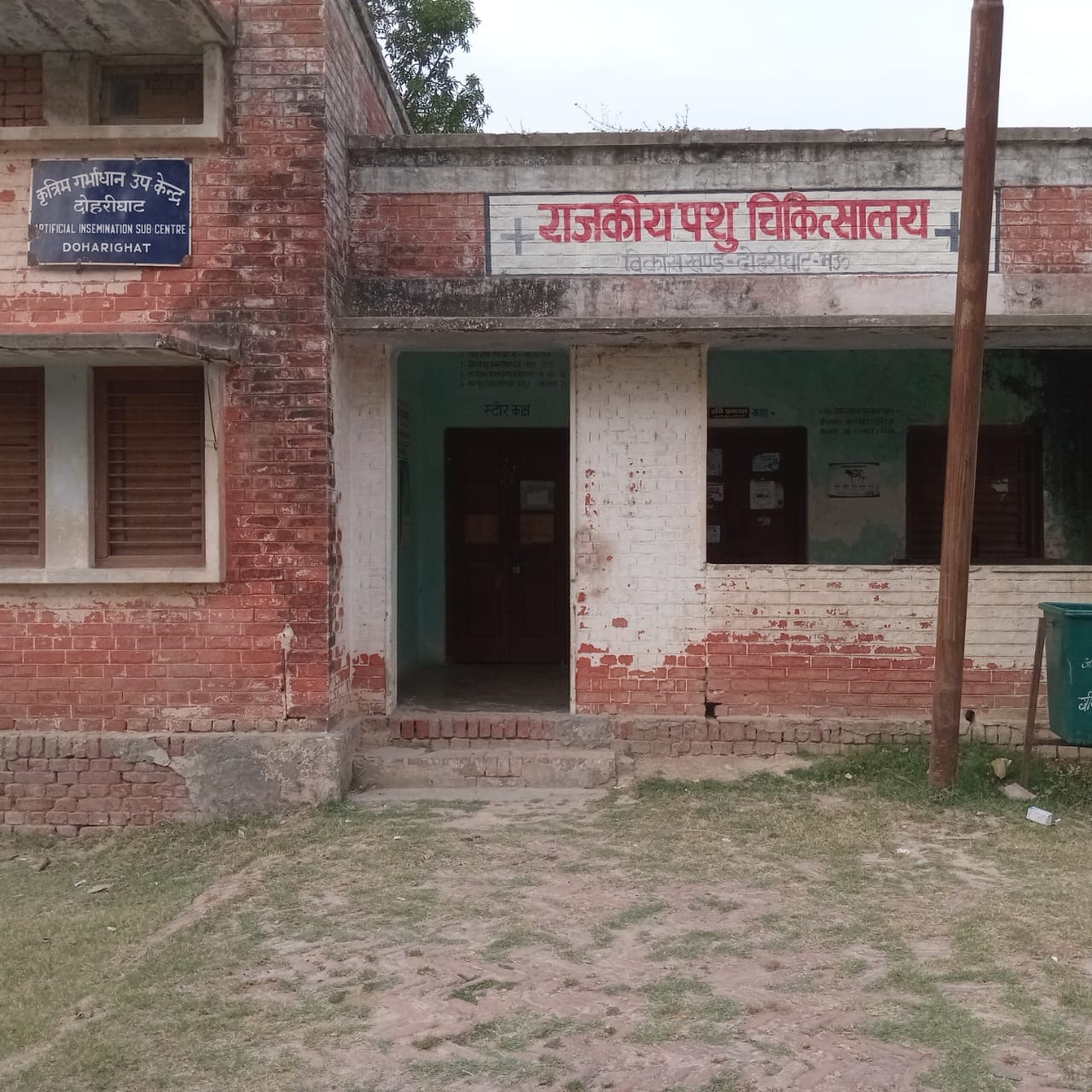 बदहाल पड़ा राजकीय पशु अस्पताल।