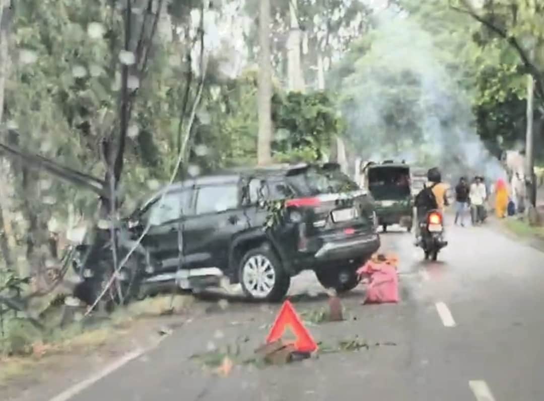 Mother and son narrowly escape as car collides with transformer while trying to save cattle