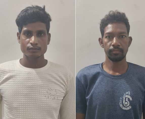Two arrested for throwing stones and bursting firecrackers at elephants in raigarh