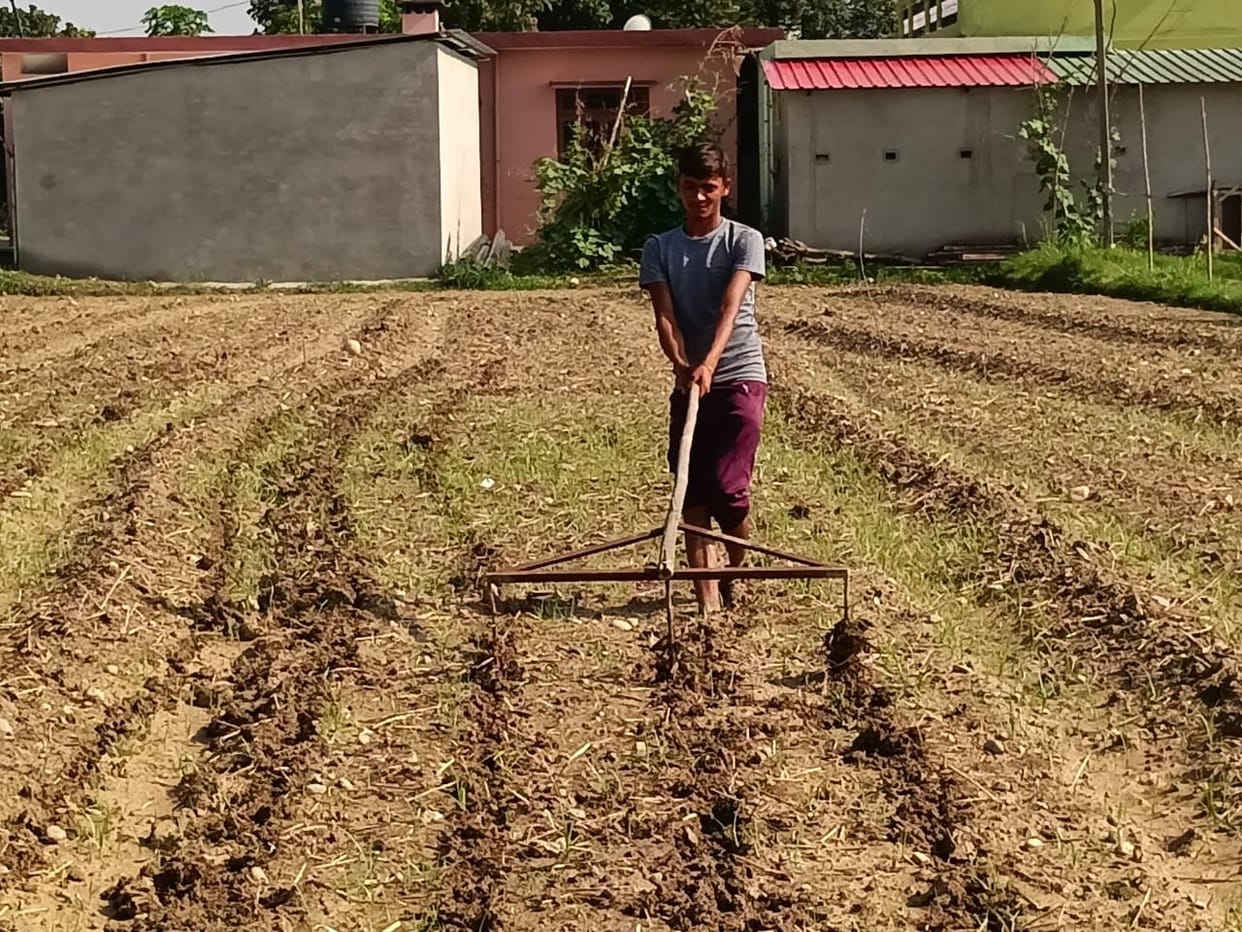 Shift in maize sowing method: Farmers now prioritizing manual sowing.