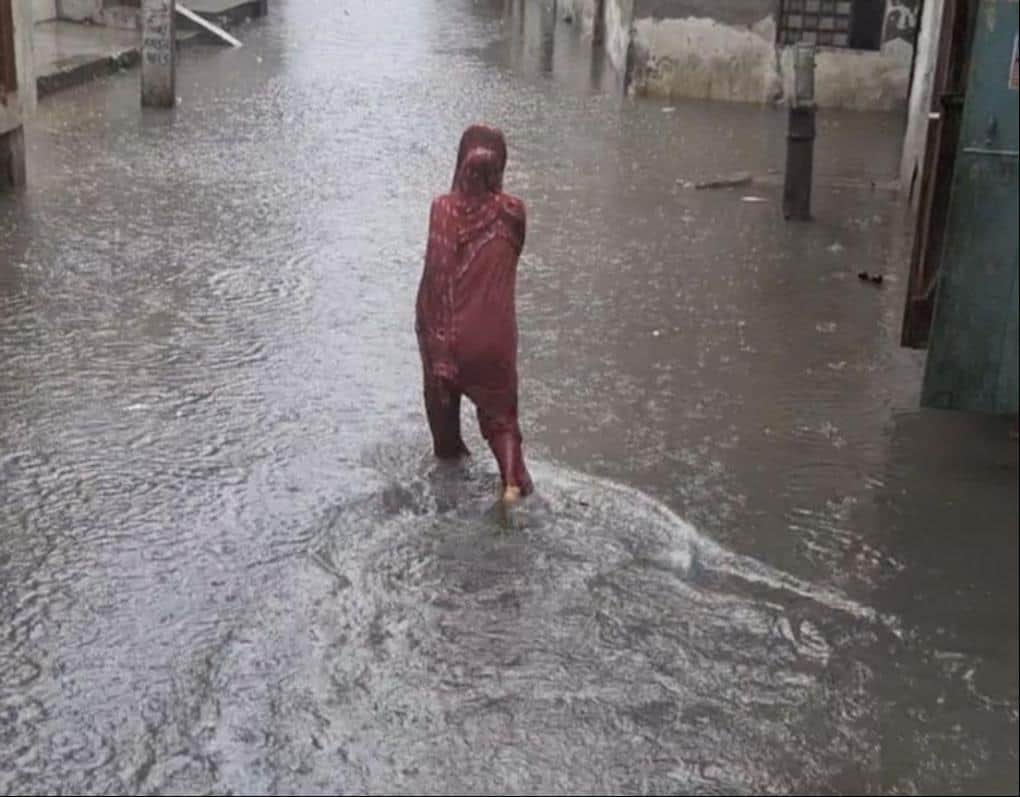 Waterlogging after rain compounds the trouble.