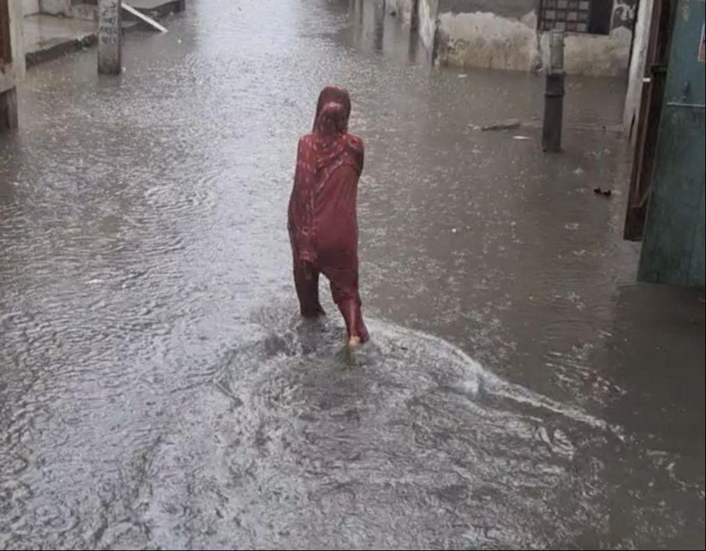 Waterlogging after rain compounds the trouble.