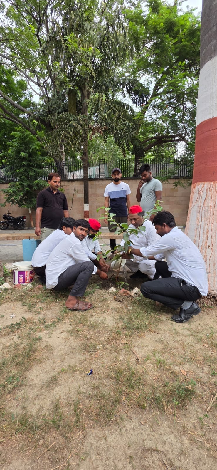 SP workers planted saplings and cut a cake on Akhilesh's birthday.