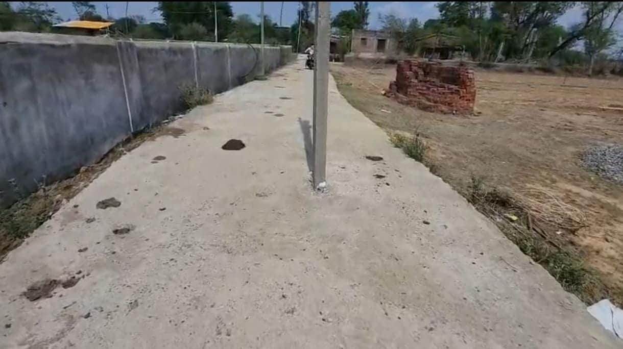 सड़क पर अजब कारनामा