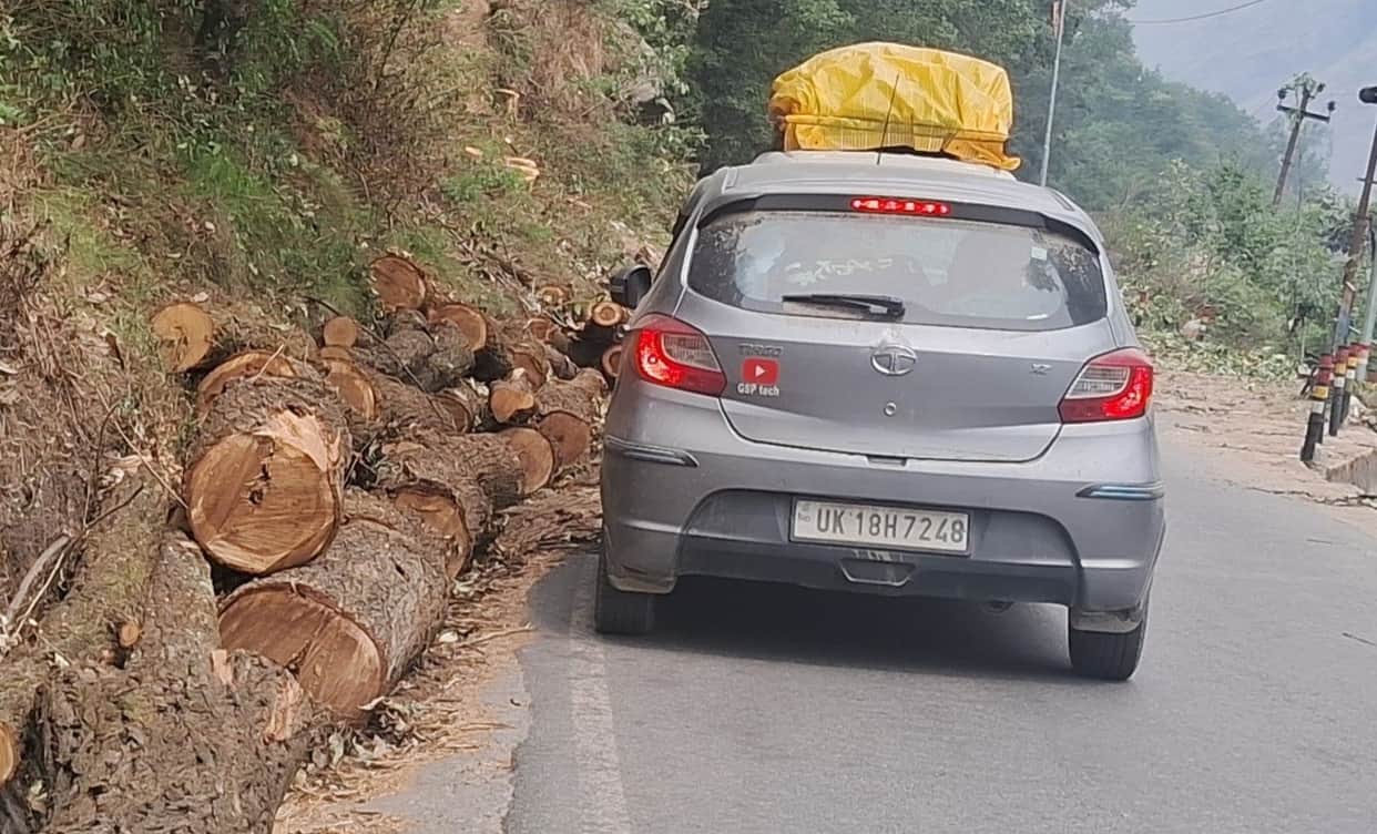 Remnants of trees on the Badrinath Highway have become a hazard.