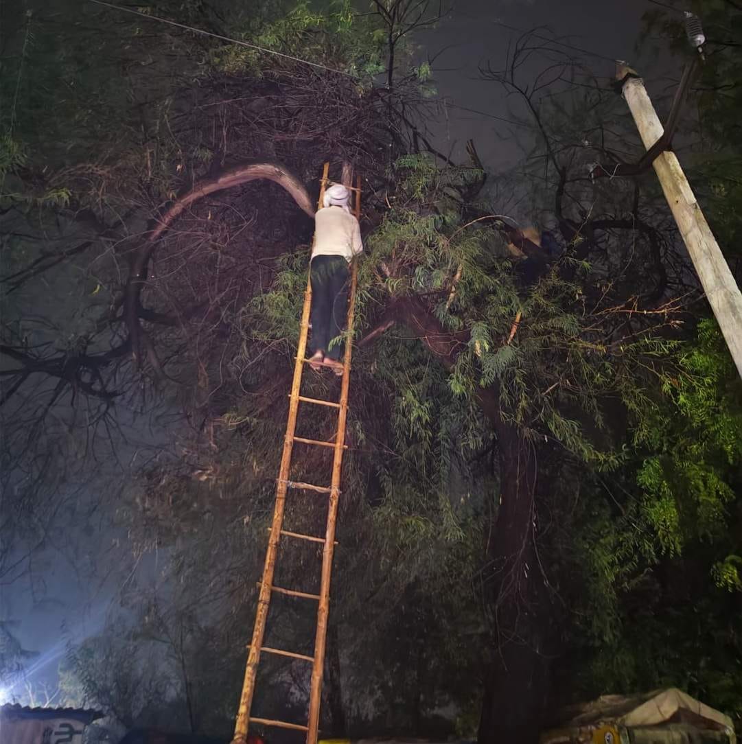 Power supply disrupted across 300 villages for 19 hours due to storms and rain.