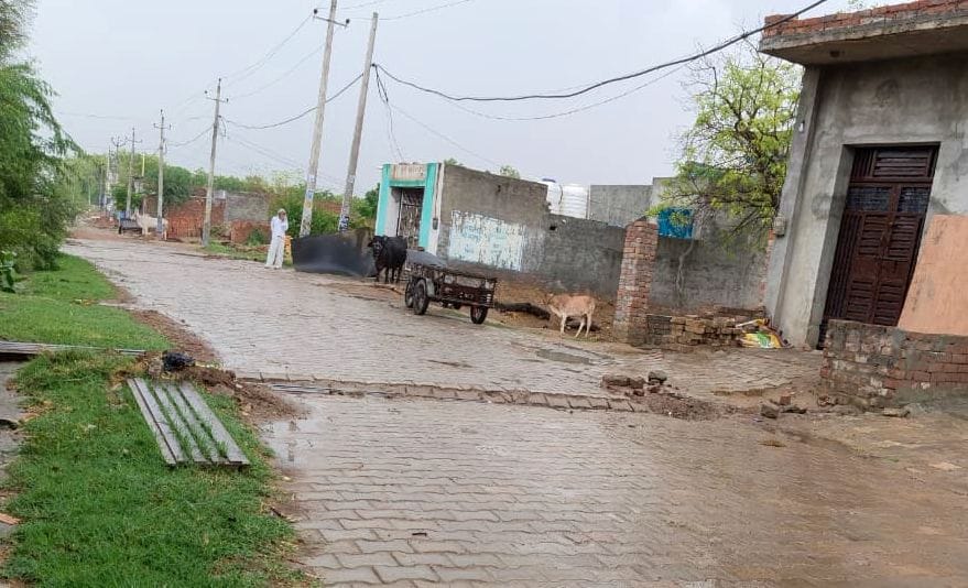 The first monsoon rains brought pleasant weather and smiles to farmers' faces.