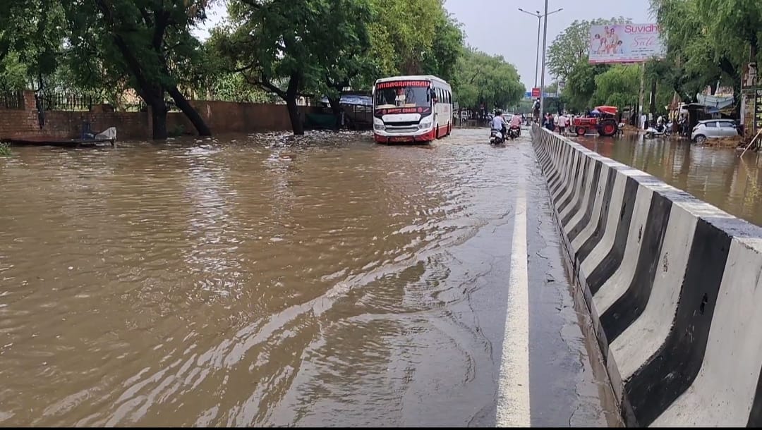 The first monsoon rain is beneficial for the crops.
