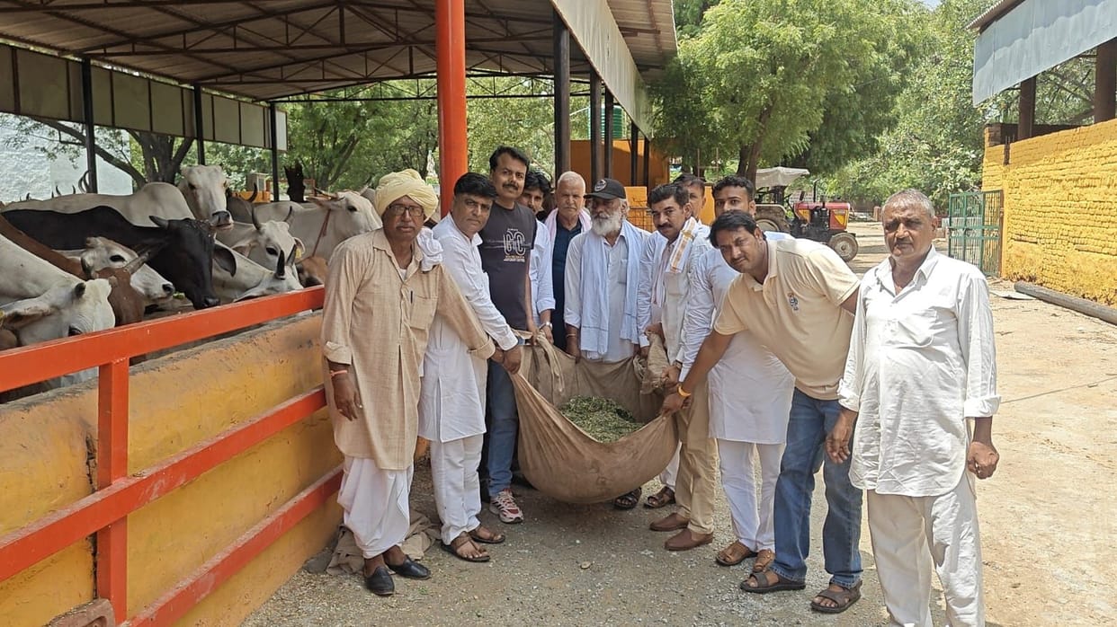 Cow service performed on the Health Minister's birthday.