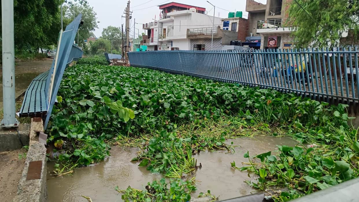 Rain causes waterlogging from the market to the hospital.