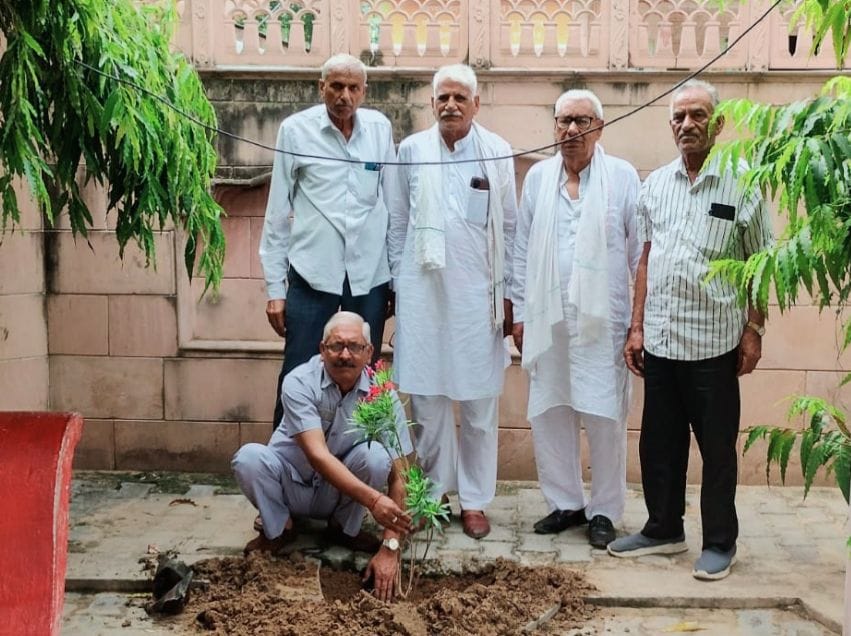 Tree plantation carried out on Aarti Rao's birthday.Tree plantation carried out on Aarti Rao's birthday.